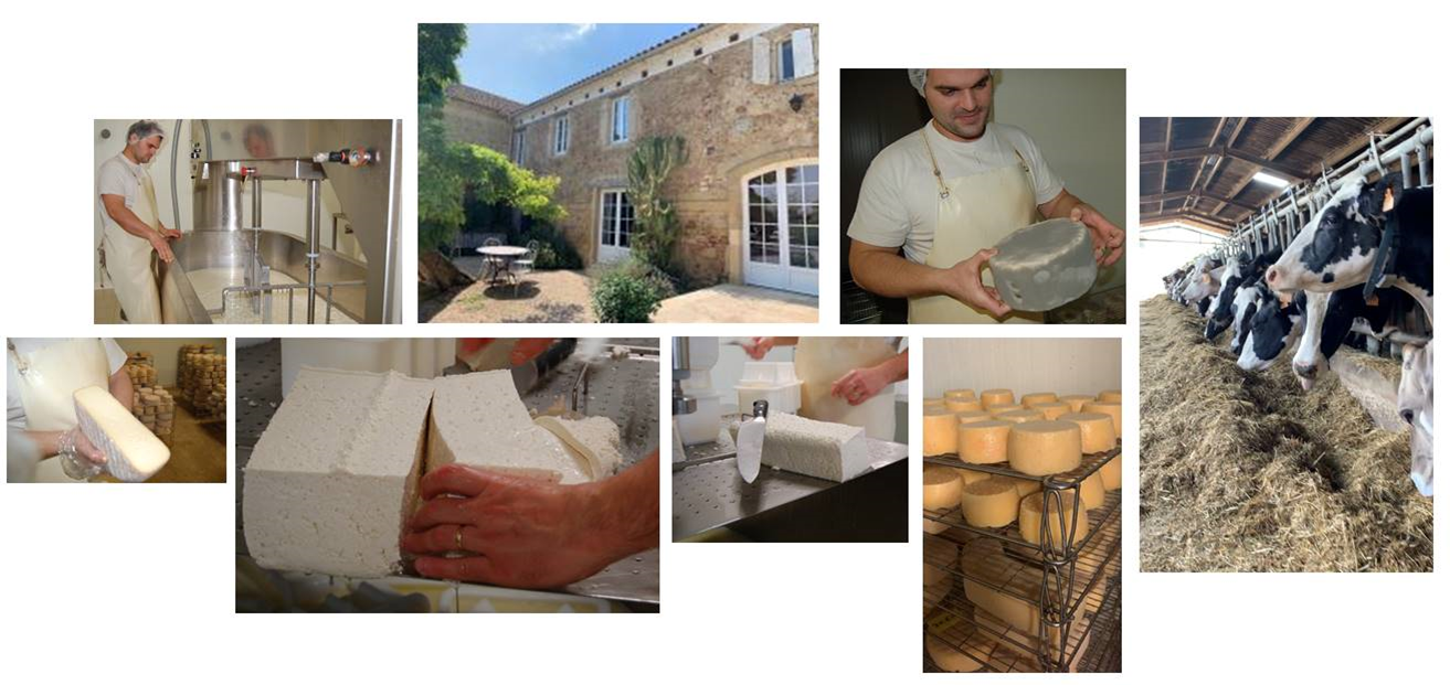 Free Website Template for Restaurants by Free-Template.co