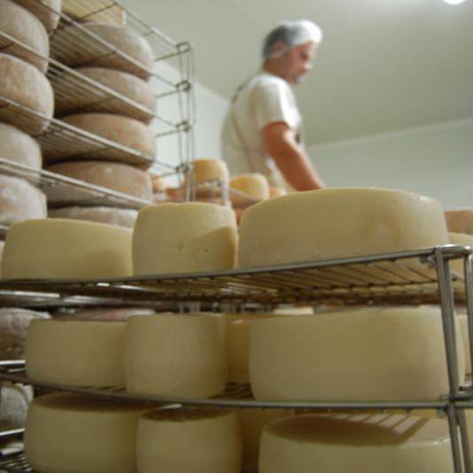 Free Website Template for Restaurants by Free-Template.co