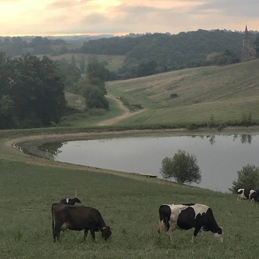 Free Website Template for Restaurants by Free-Template.co