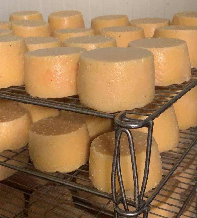 Free Website Template for Restaurants by Free-Template.co