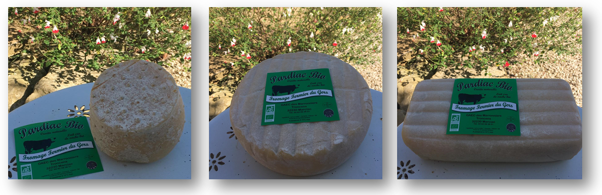 Free Website Template for Restaurants by Free-Template.co